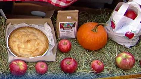 Family fun to be had at local farms this fall