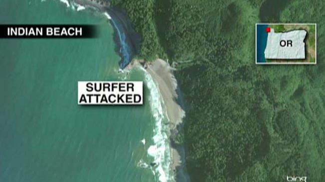 Shark viciously attacks trauma nurse off coast of Oregon 