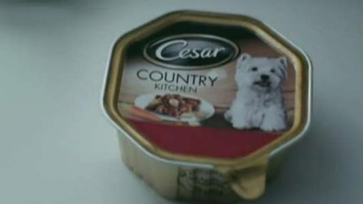 Cesar dog food recalled after plastic pieces found
