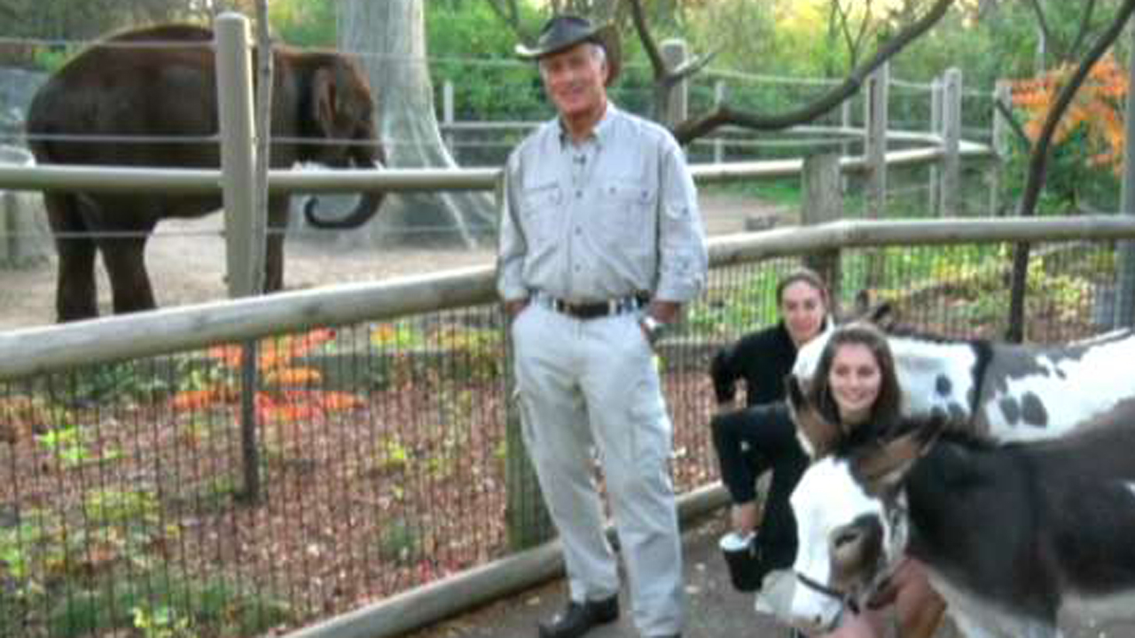 Jack Hanna's animals in honor of the election