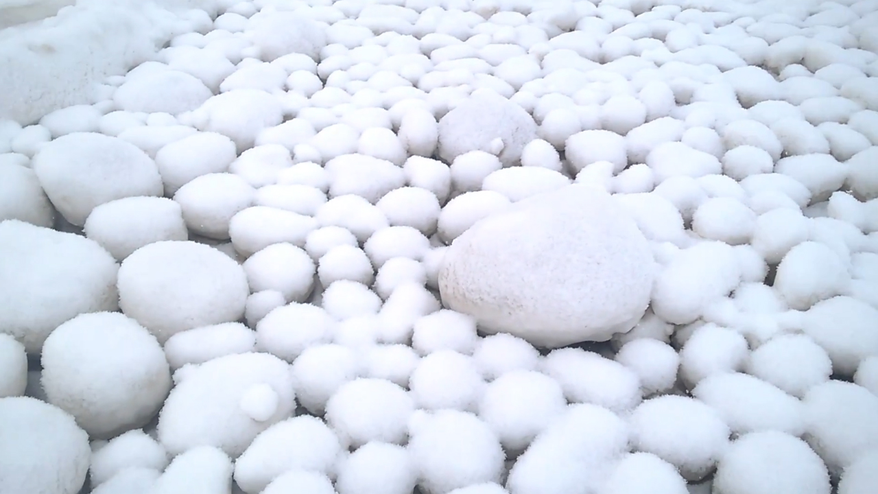 Rare giant 'snowballs' appear on Siberian beach