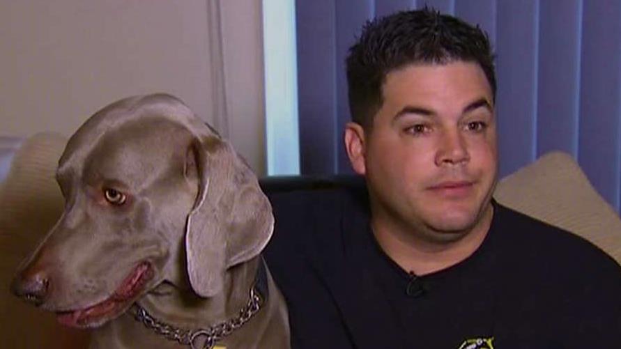 K9s for Warriors gives service dogs to vets with PTSD