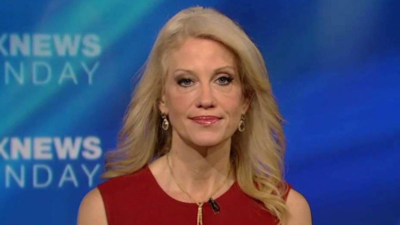 Kellyanne Conway on transitioning Trump to the presidency