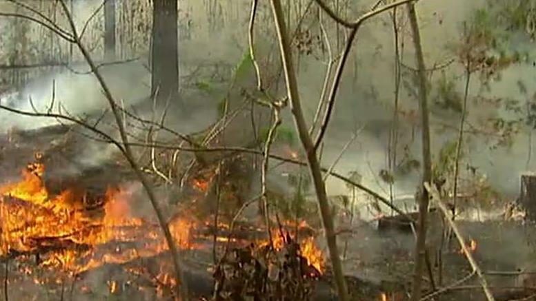 Fall leaves fuel wildfires across seven southern states