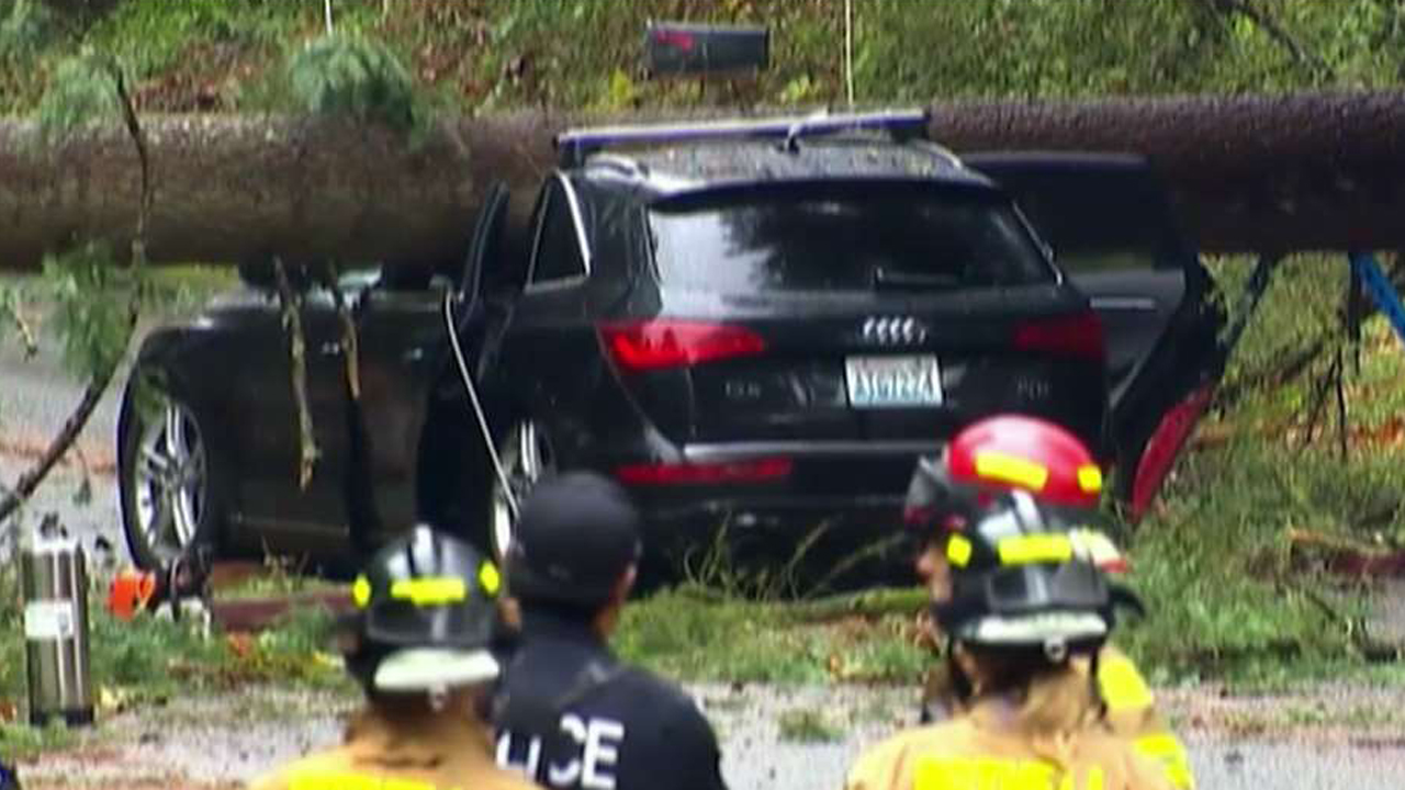 Miraculous escape after massive tree crushes SUV
