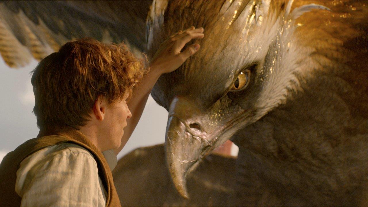 Is 'Fantastic Beasts' worth your box office bucks?