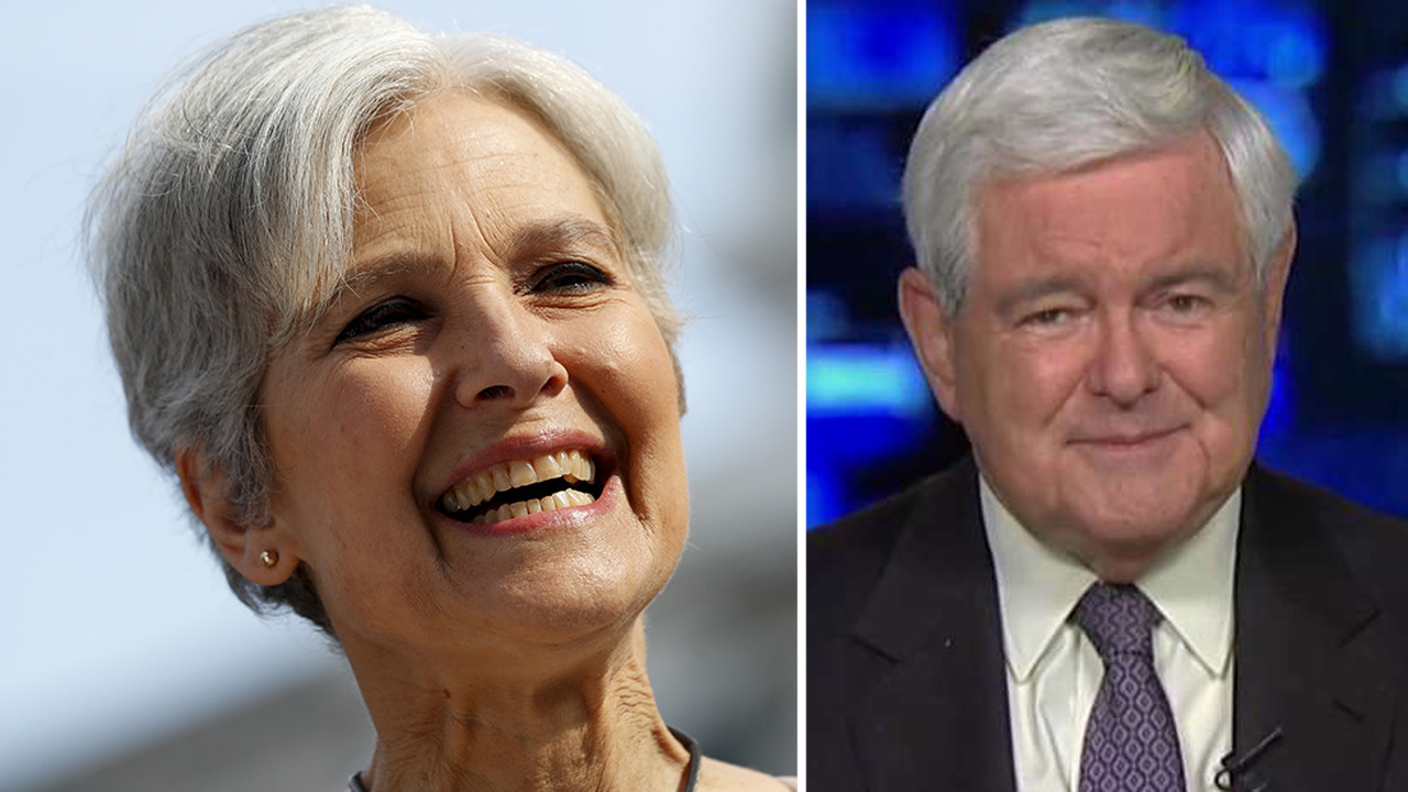 Gingrich: Stein represents 'nut wing of American politics'