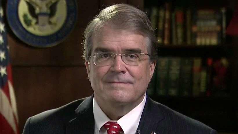 Rep. Culberson explains how Trump can end 'sanctuary cities'