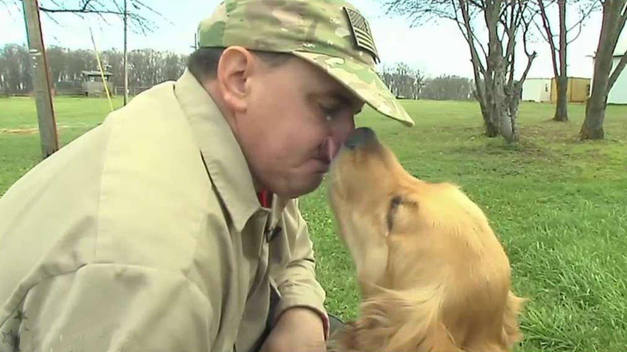 Veterans training service dogs and healing themselves