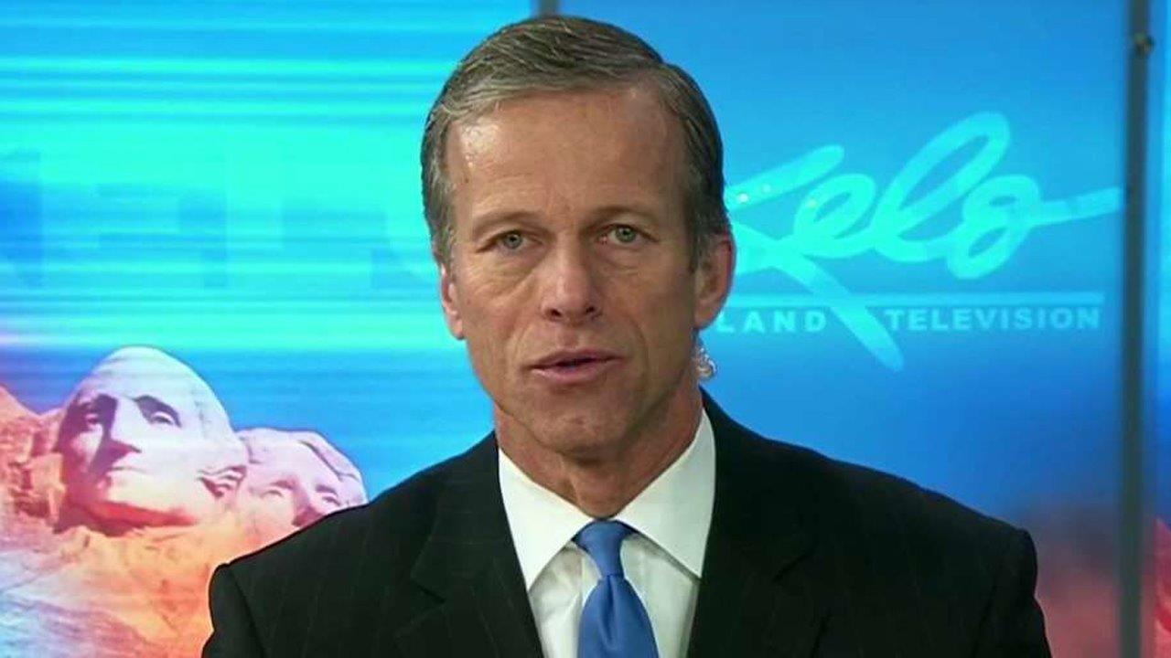 Sen. John Thune: Conclusions about Russia are premature