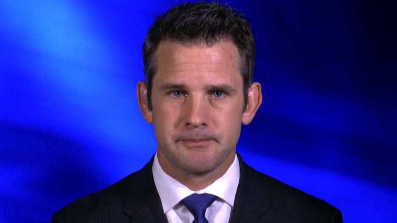 Kinzinger: Russia tried to undermine faith in Constitution