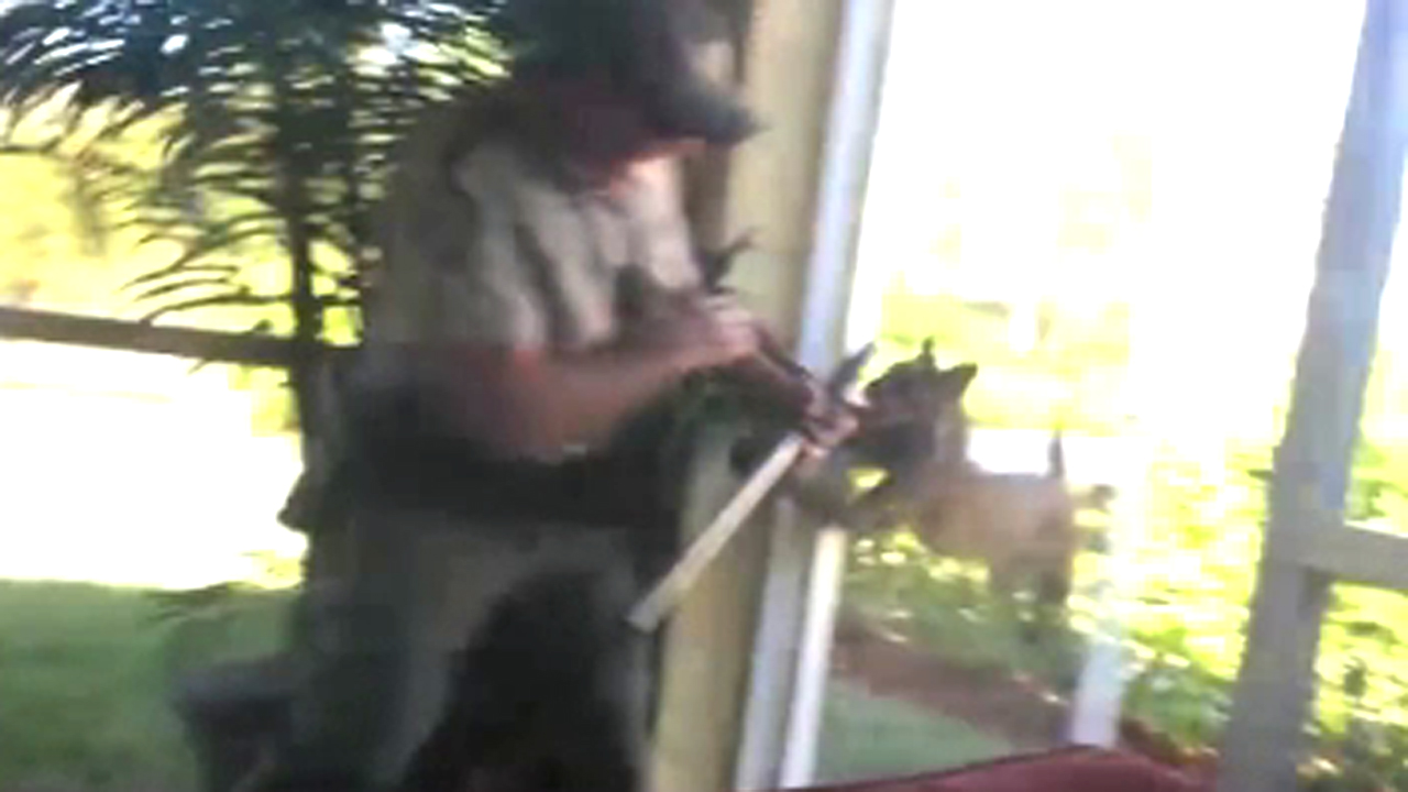 Rabid bobcat leaps to attack wildlife officer
