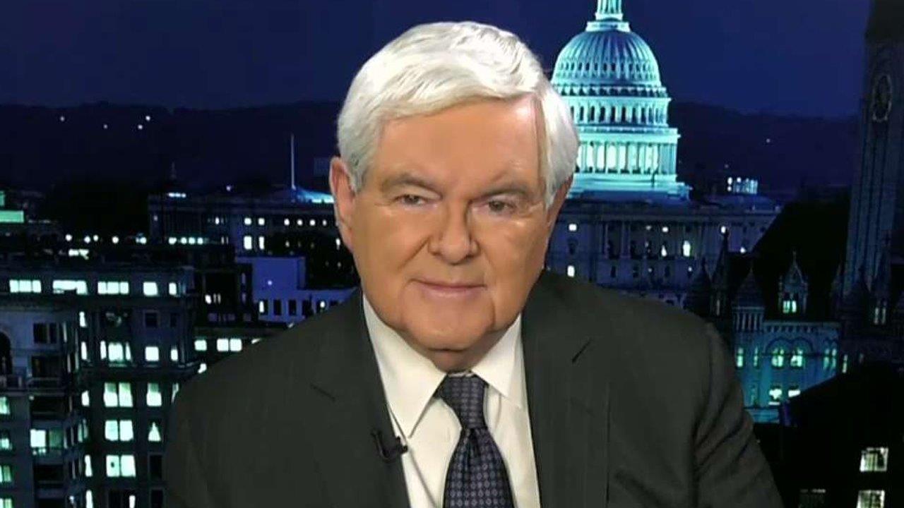 Gingrich slams the incompetence of the liberal Democrats