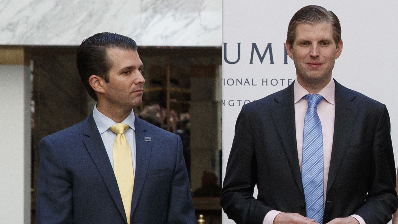 Trump to give sons complete control of business empire