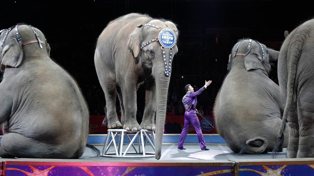 Shillue: Political correctness claims the circus