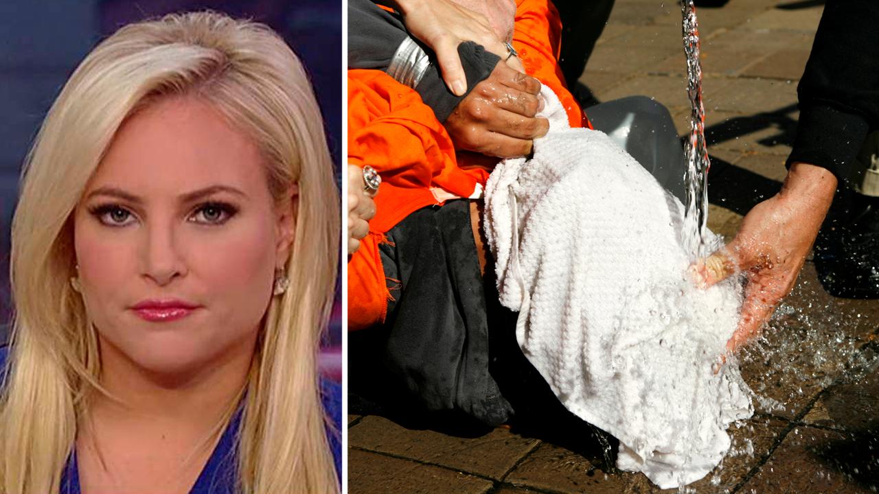 Meghan McCain on torture: America is better than this