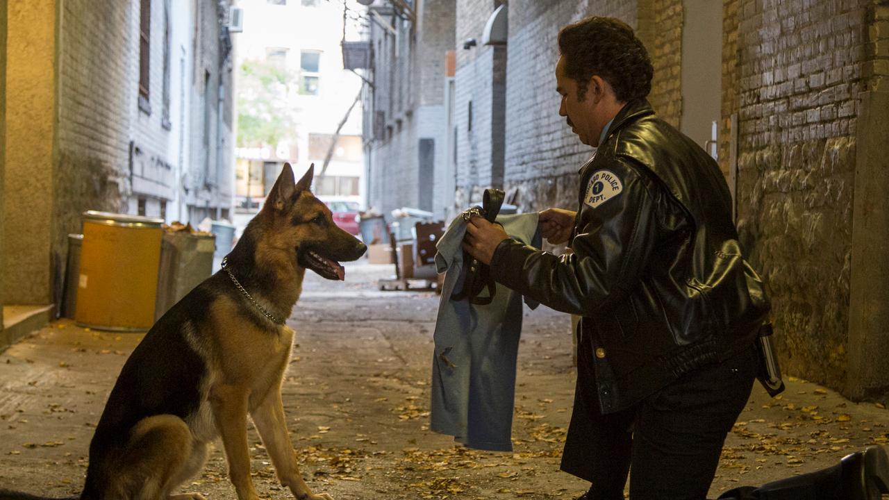 'A Dog's Purpose' worth your box office bucks?