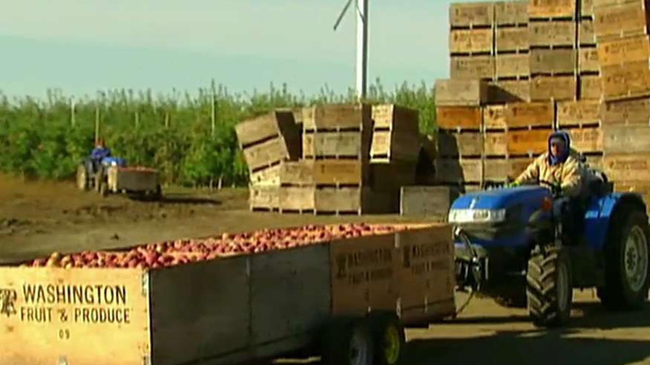 Farmers hope for better trade deals after TPP withdrawal
