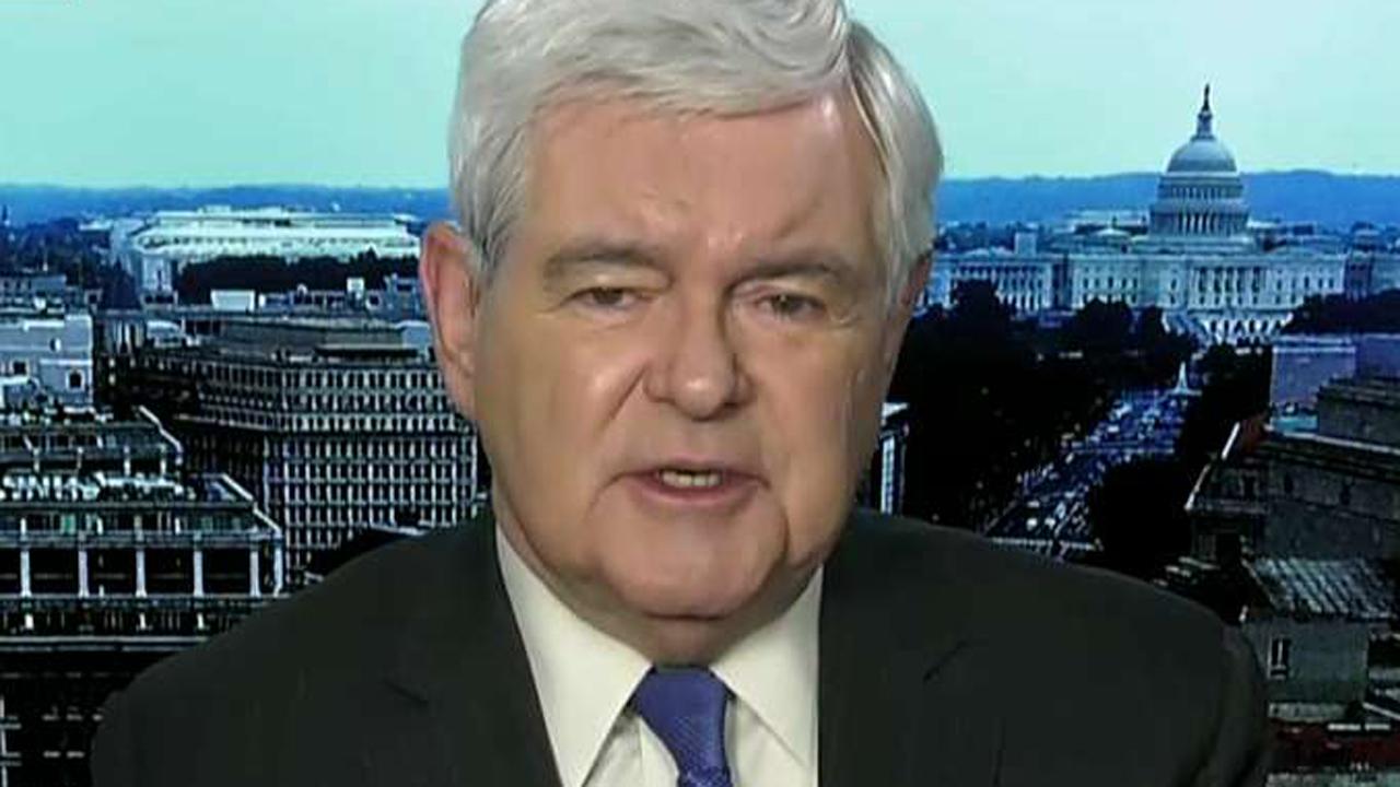 Gingrich: Trump's aggressive reforms driving the left crazy