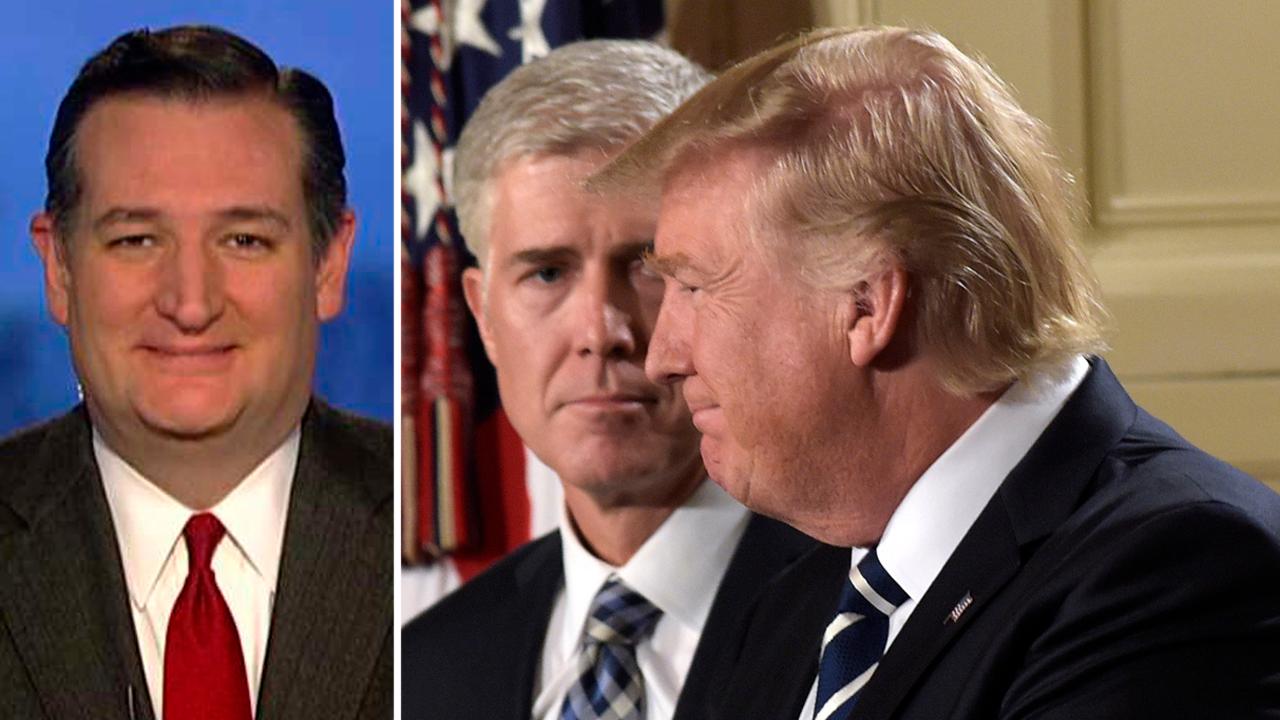 Ted Cruz talks frustration over Democrats in Trump 'denial'