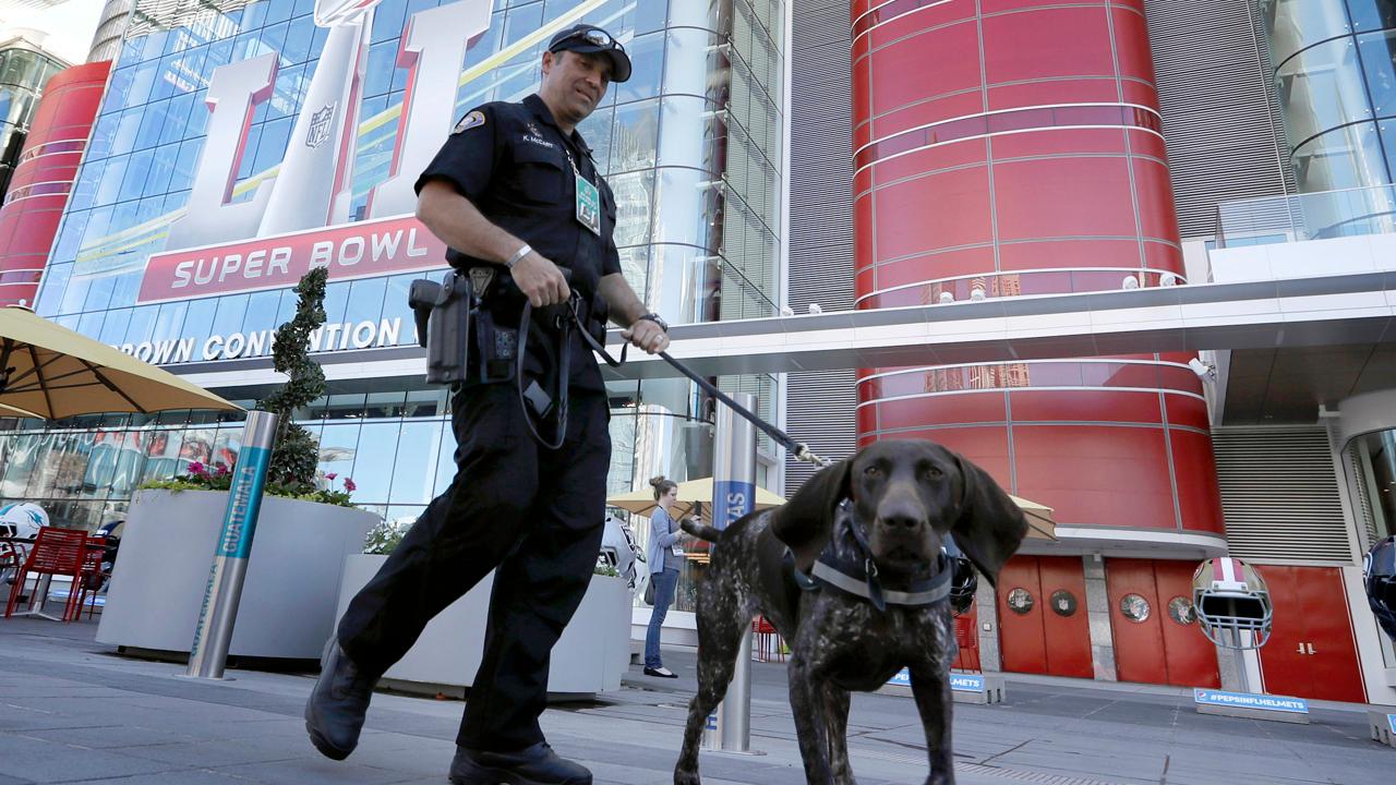 Fans, security descend on Houston for Super Bowl LI