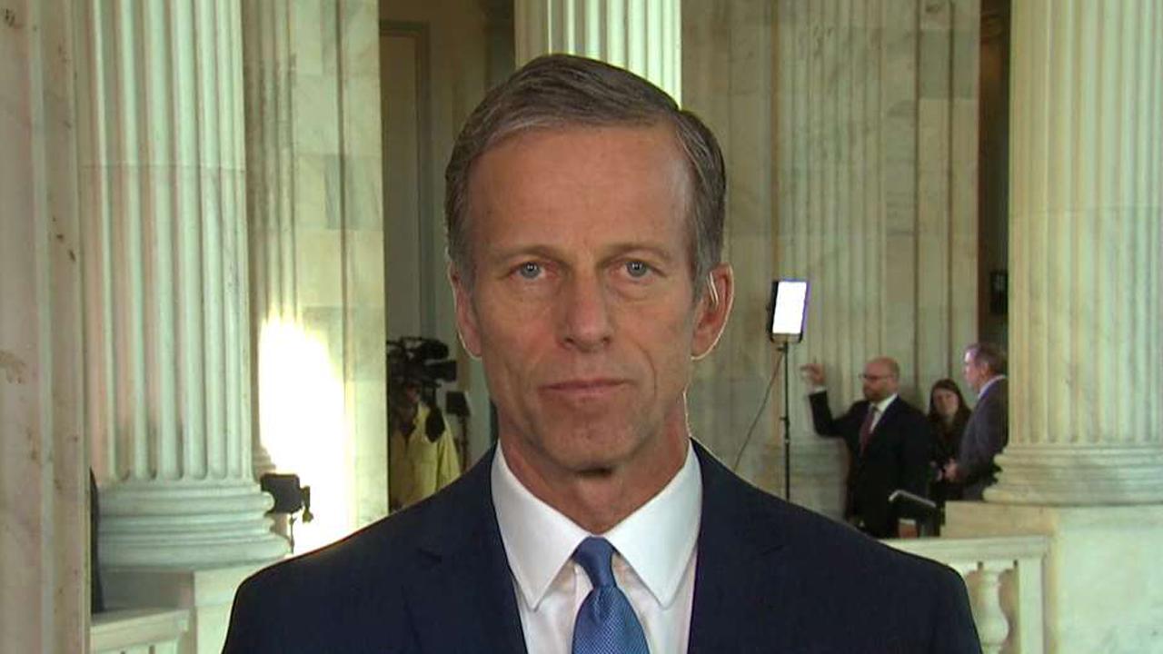 Thune: Divide over Cabinet picks is 'all about politics'