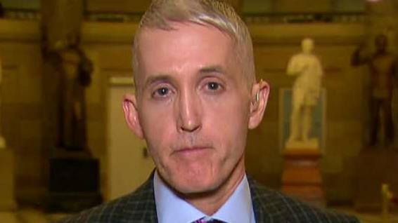 Rep. Gowdy: Trump's executive order is 'easily remedied'