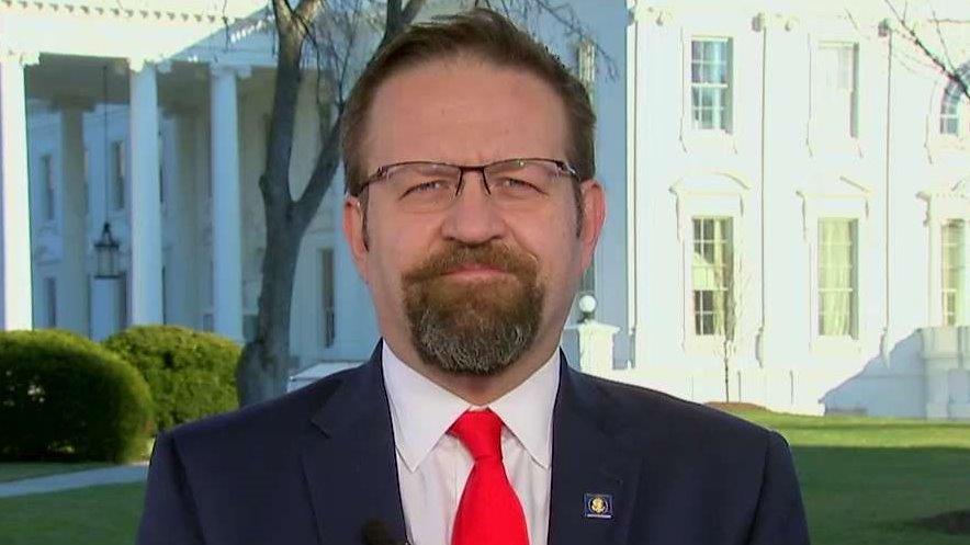 Gorka: Mainstream media haven't accepted reality of election