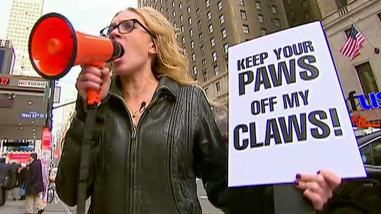 Kat Timpf protests Westminster dog show welcoming cats