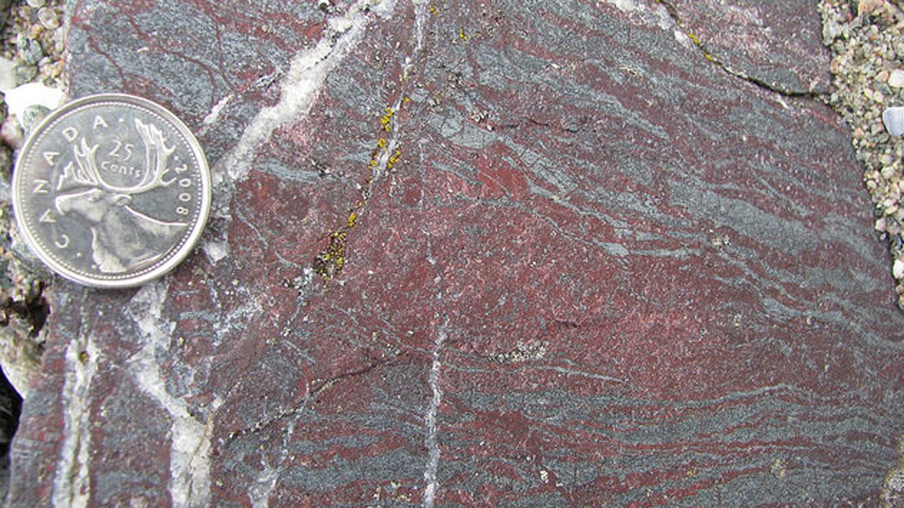 Scientists claim to discover oldest fossils on Earth