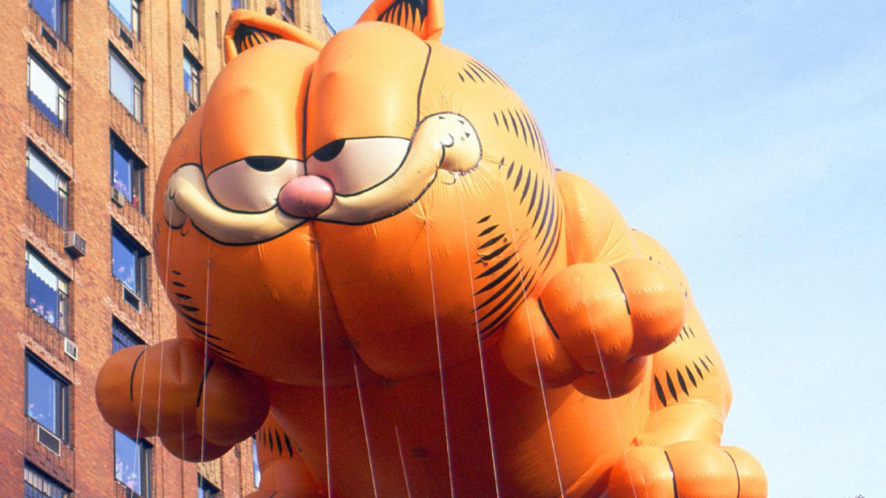 Male or female? 'Garfield's' gender in question