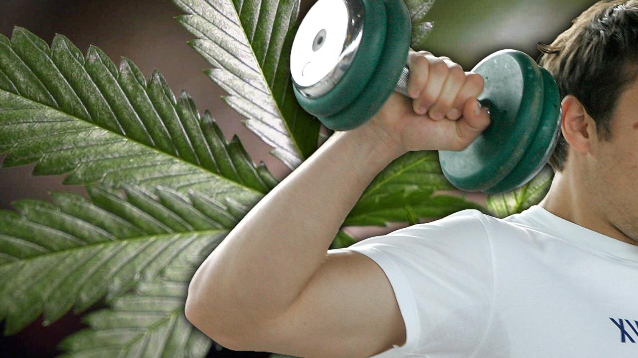 World's first ever weed gym opening in San Francisco