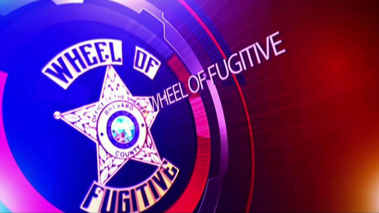Fox Flash: Wheel of fugitive