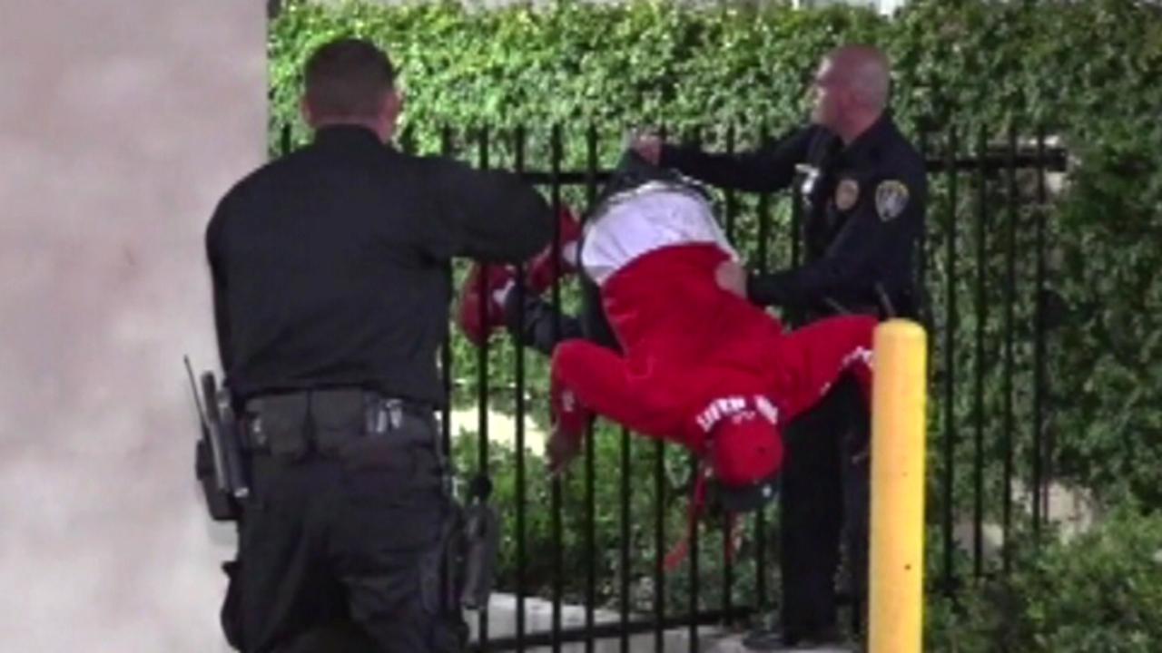Caught by the seat of his pants: Suspect snagged on fence