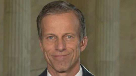 Sen. Thune: Dems not backing Gorsuch are worrying about 2018