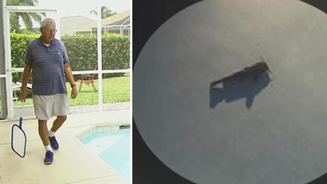 Catfish falls from sky, lands in family pool