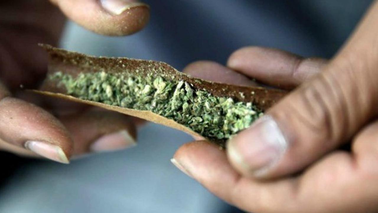 Canada introduces bill to legalize marijuana