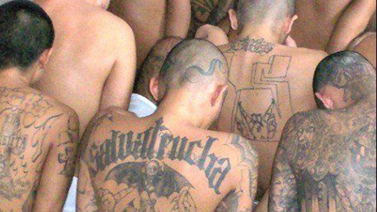 Why MS-13 is more dangerous than ISIS