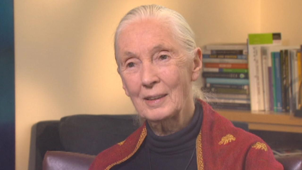 Power Player Plus: Jane Goodall