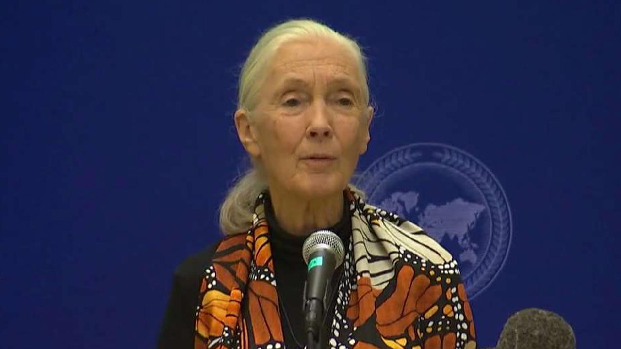 Jane Goodall's relentless mission to protect the planet