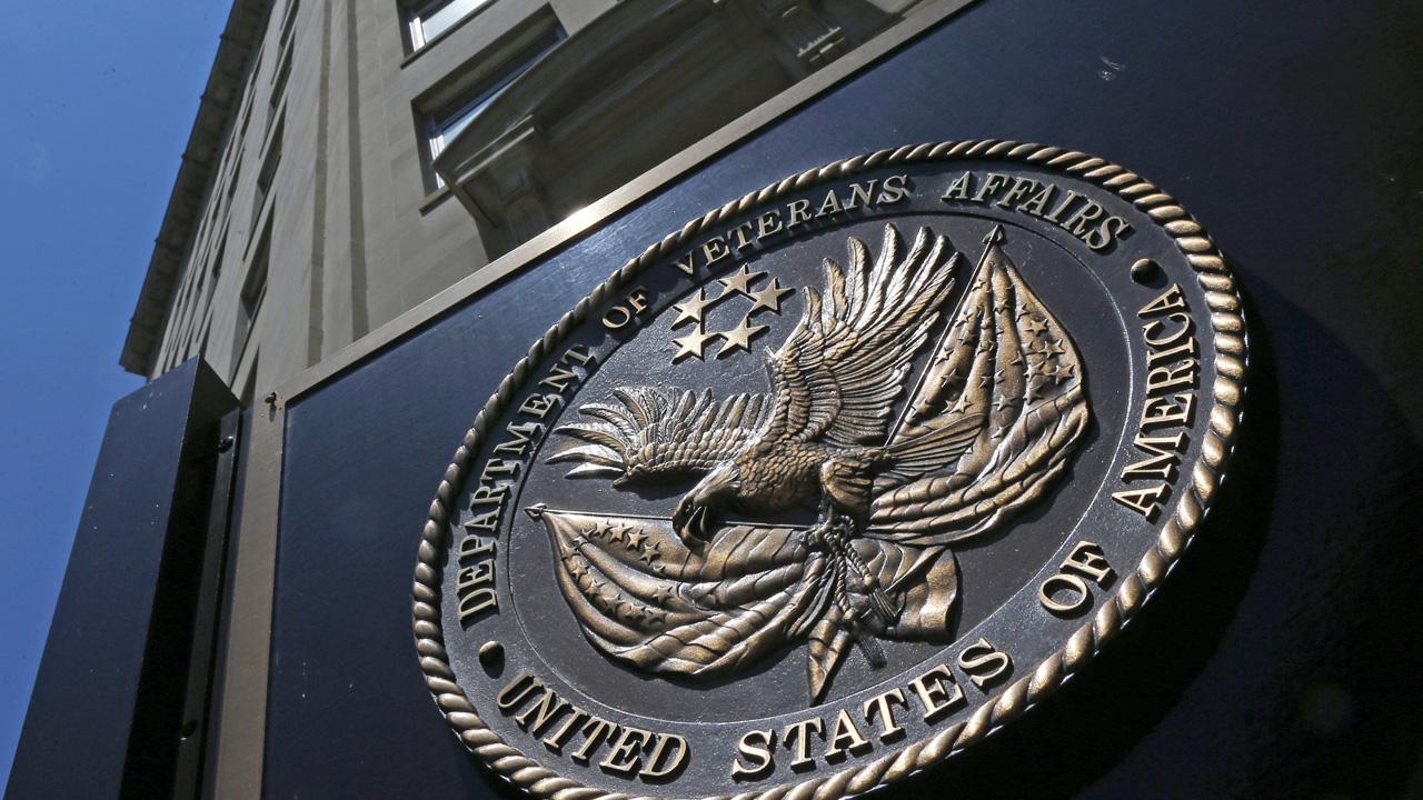 Director of embattled Veterans Affairs post fired