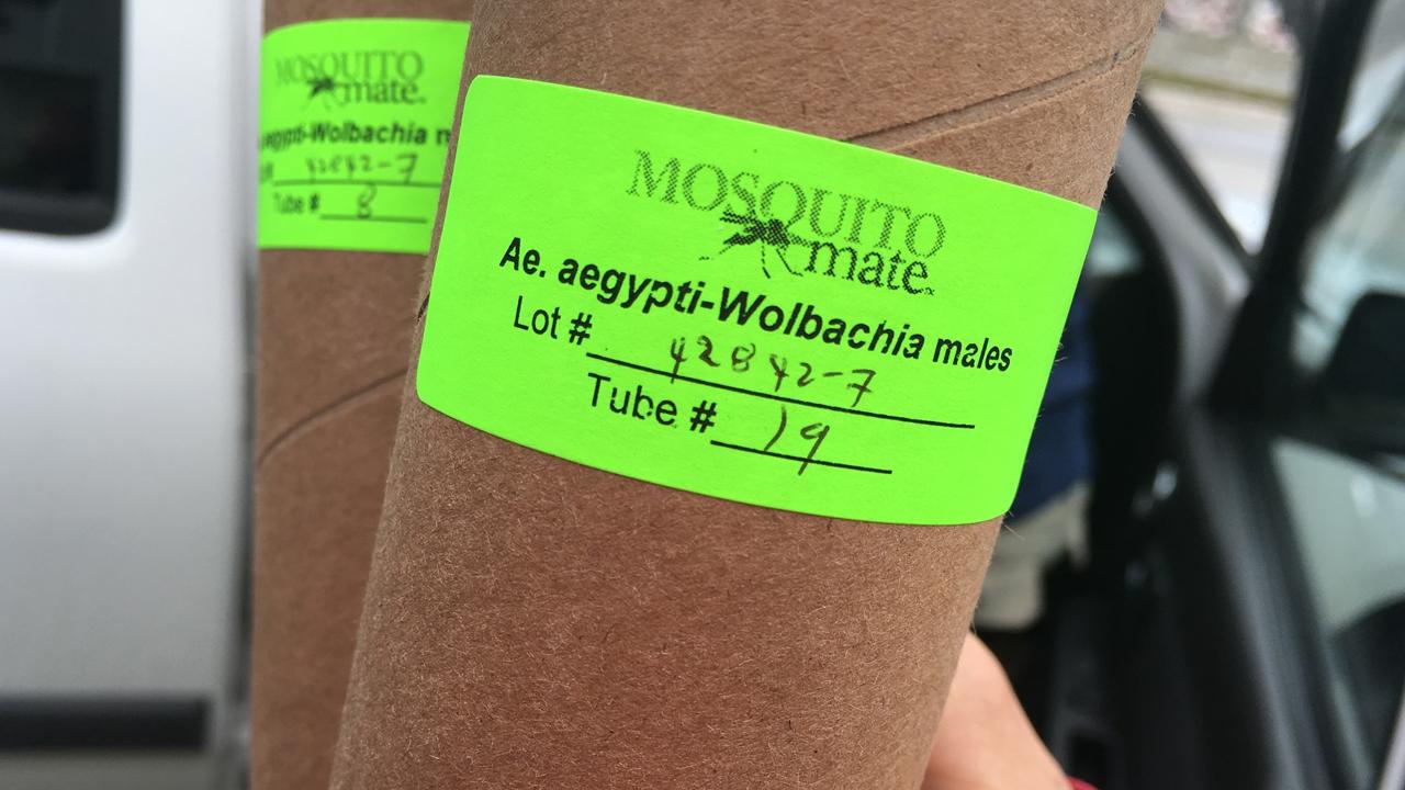 How Florida is preparing for mosquito season