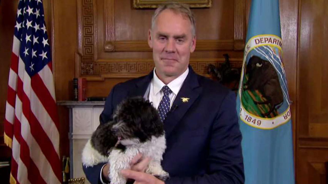 Secretary Zinke makes the Interior Department dog-friendly