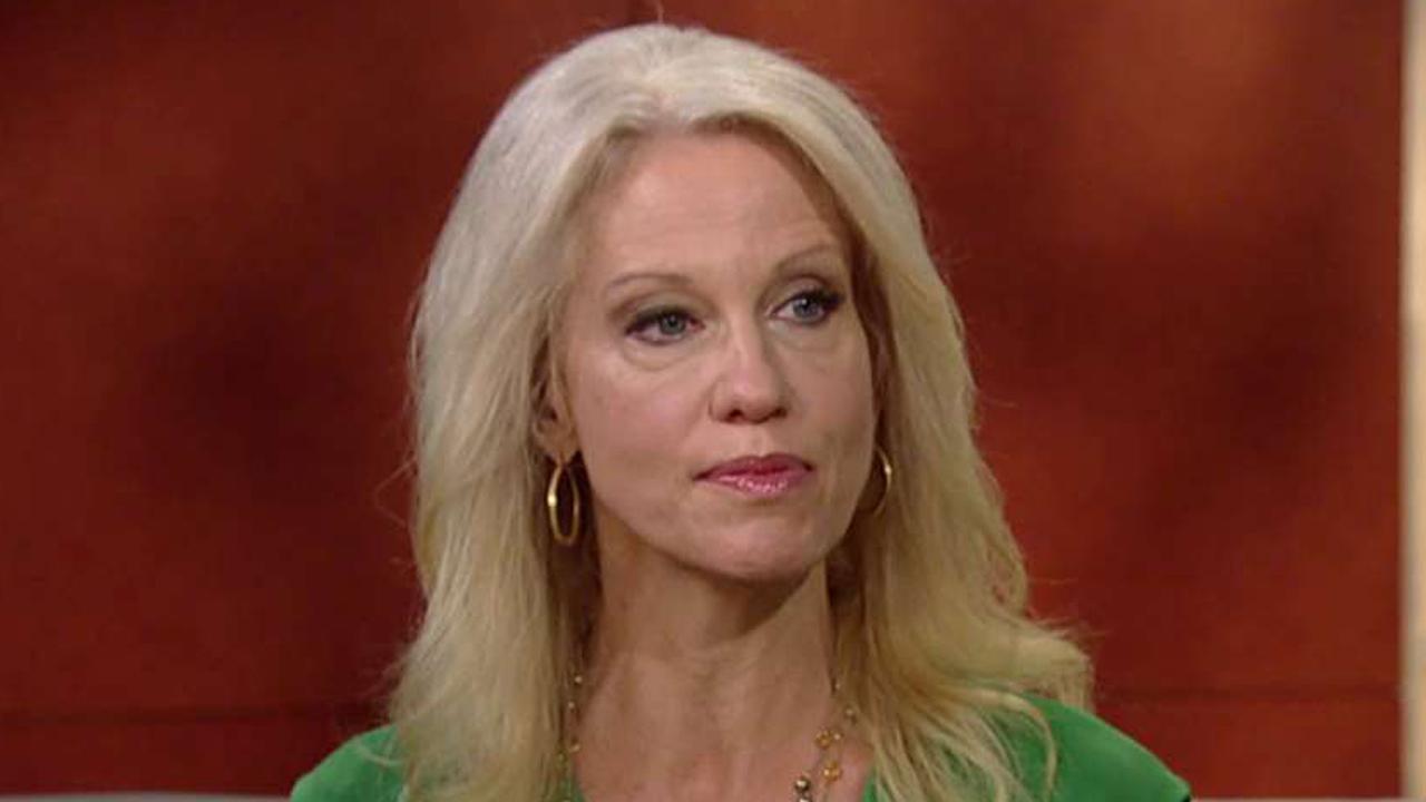 Kellyanne Conway calls out mainstream media 'enablers'