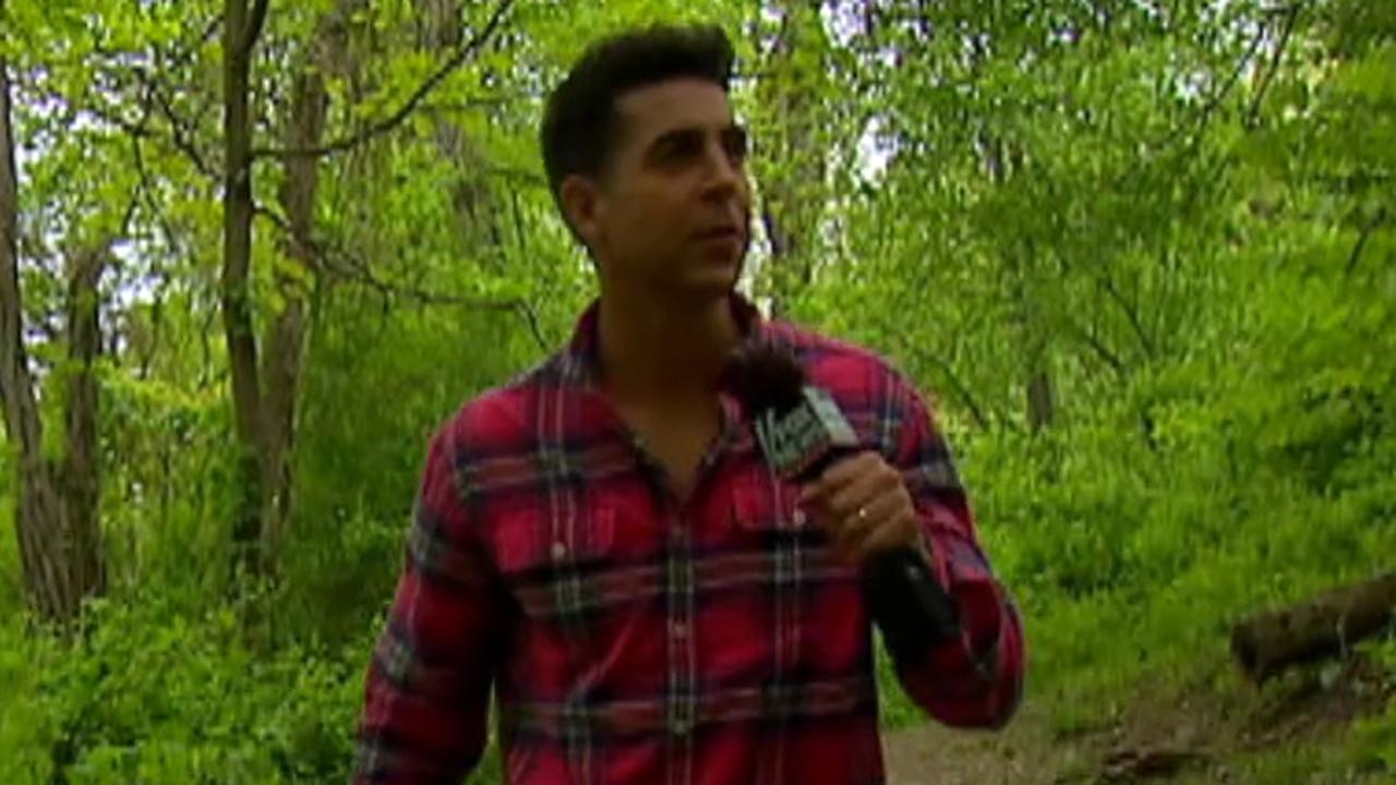 Watters goes hunting for Hillary Clinton in the woods