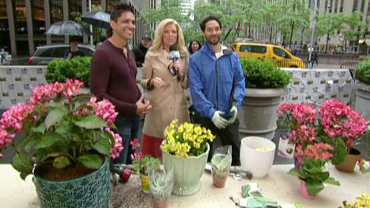 Janice Dean gets new flowers on the plaza