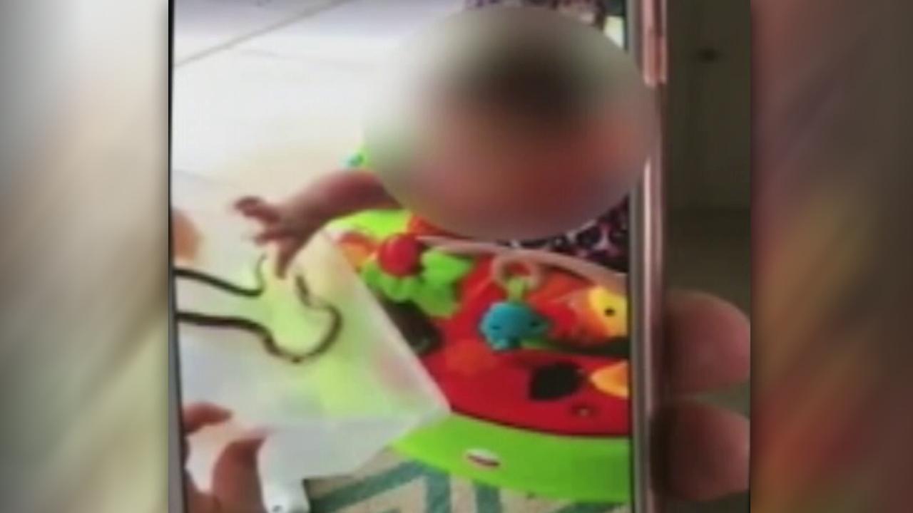 Woman seen on video letting snake bite toddler