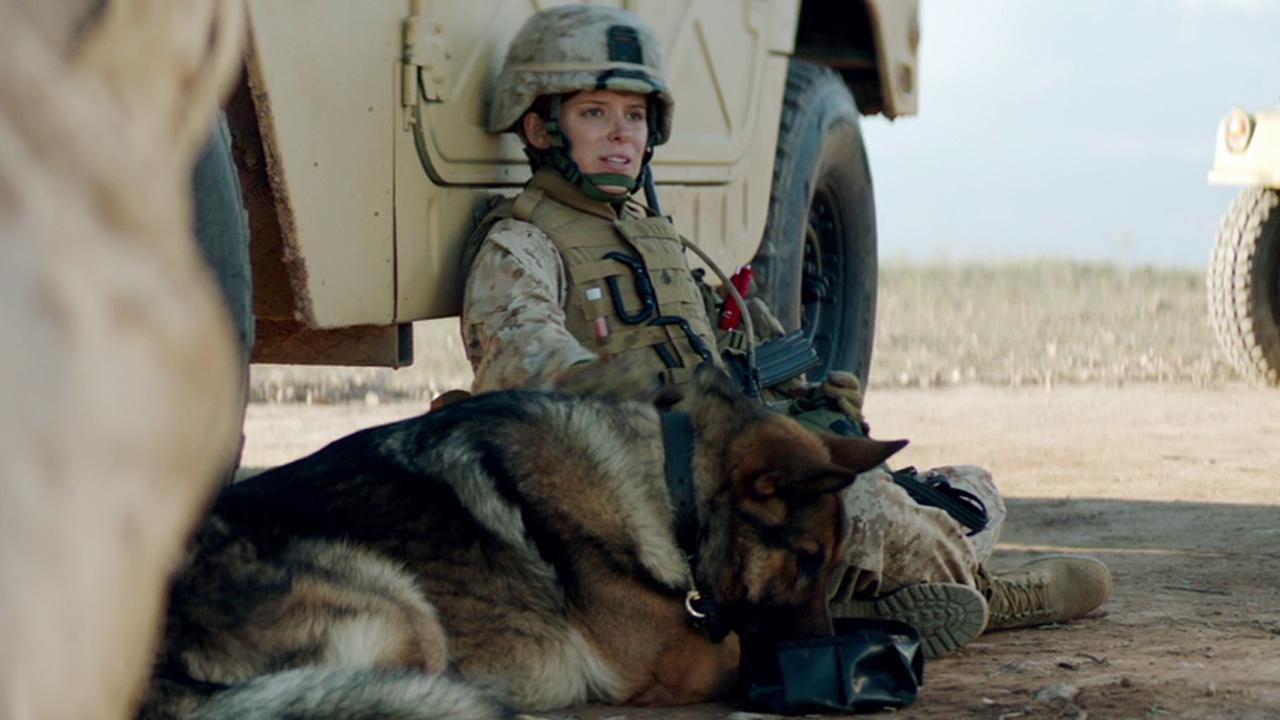 'Megan Leavey', based on Marine and combat dog hits theaters