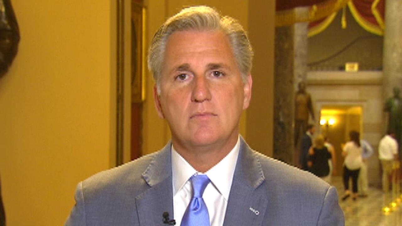 McCarthy: Dems using every stall tactic to make Trump fail