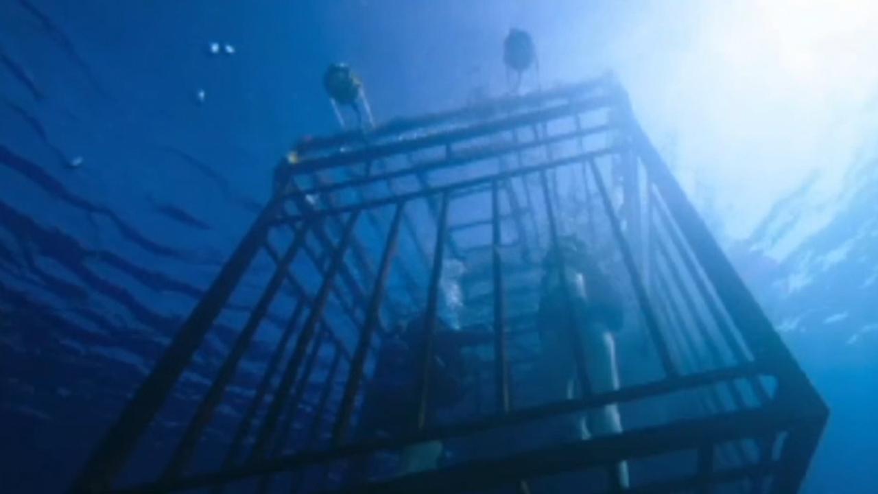 '47 Meters Down' stars talk scuba, survival and new film